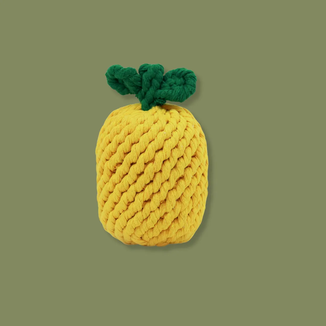 Knotty Large Pineapple Rope Toy