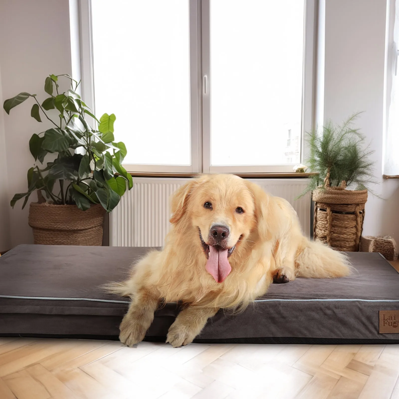 Laifug Memory Foam Dog Bed, Orthopedic Dog Crate Bed Small-jumbo