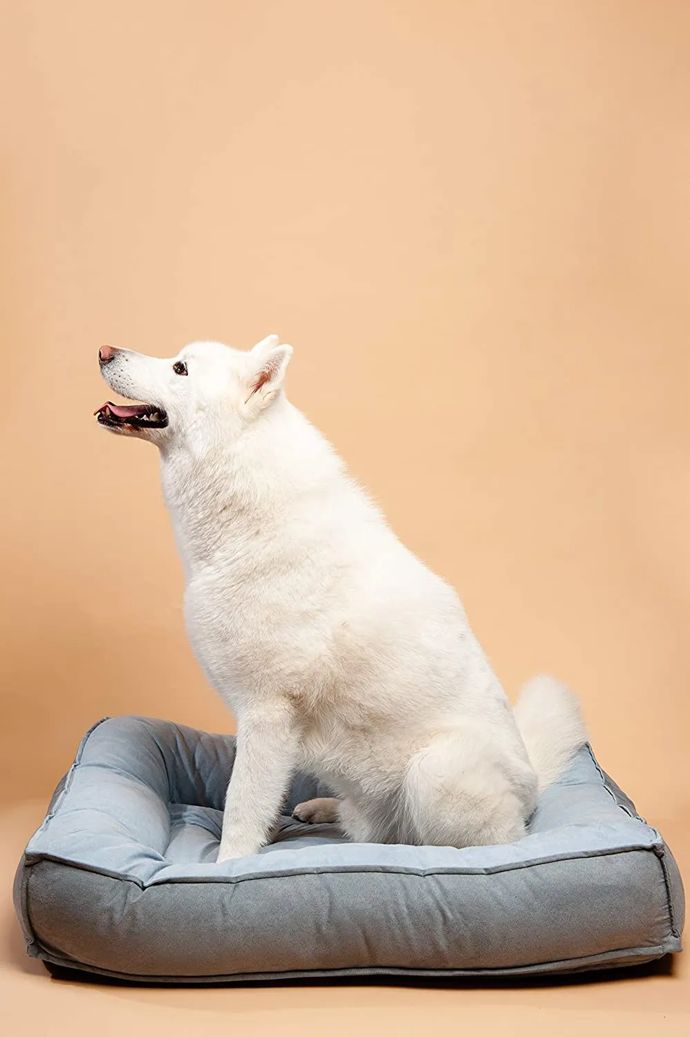 Large Comfy Classic Orthopedic Dog Bed with Ultra Soft Bolster & Memory Foam