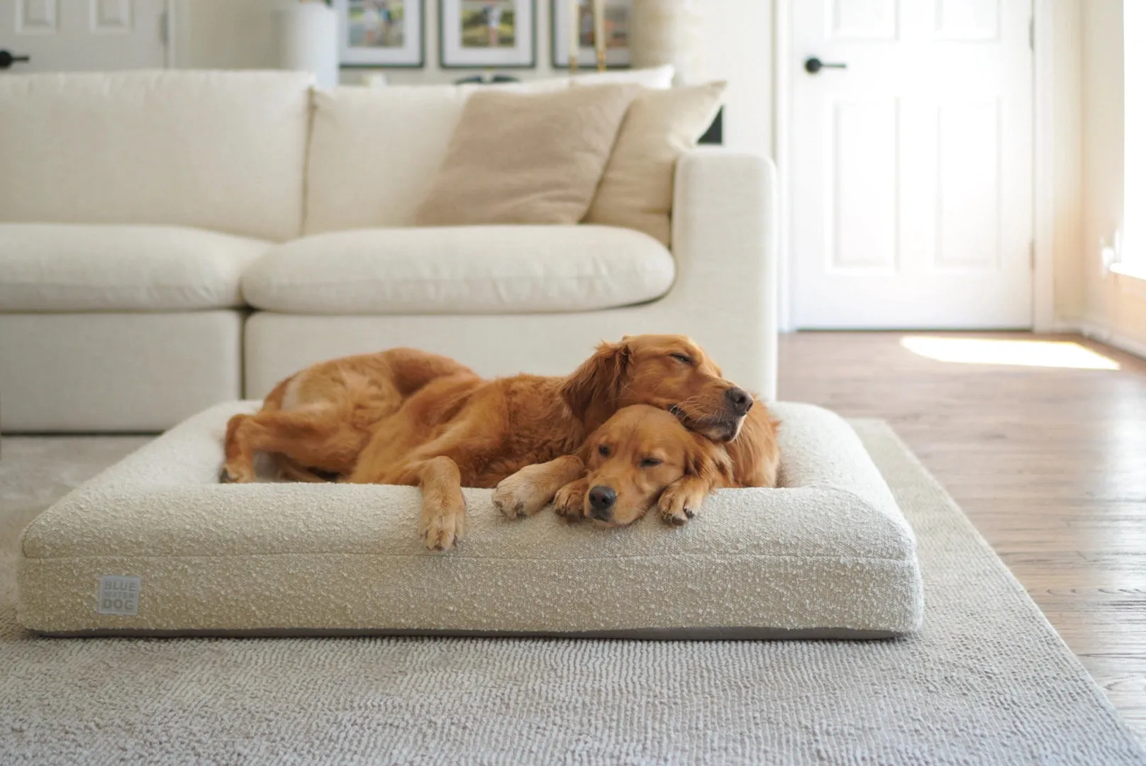Large Luxury Bouclé Orthopedic Bluewater Dog Bed (Cloud)