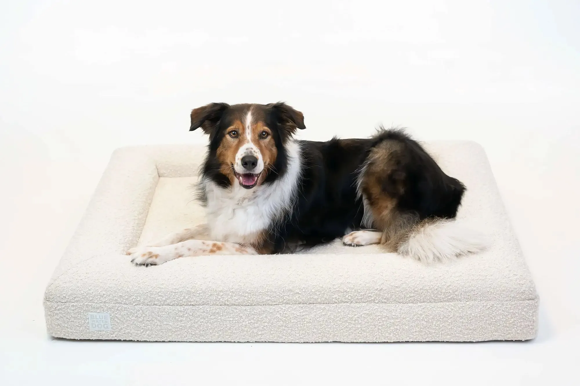 Large Luxury Bouclé Orthopedic Bluewater Dog Bed (Cloud)