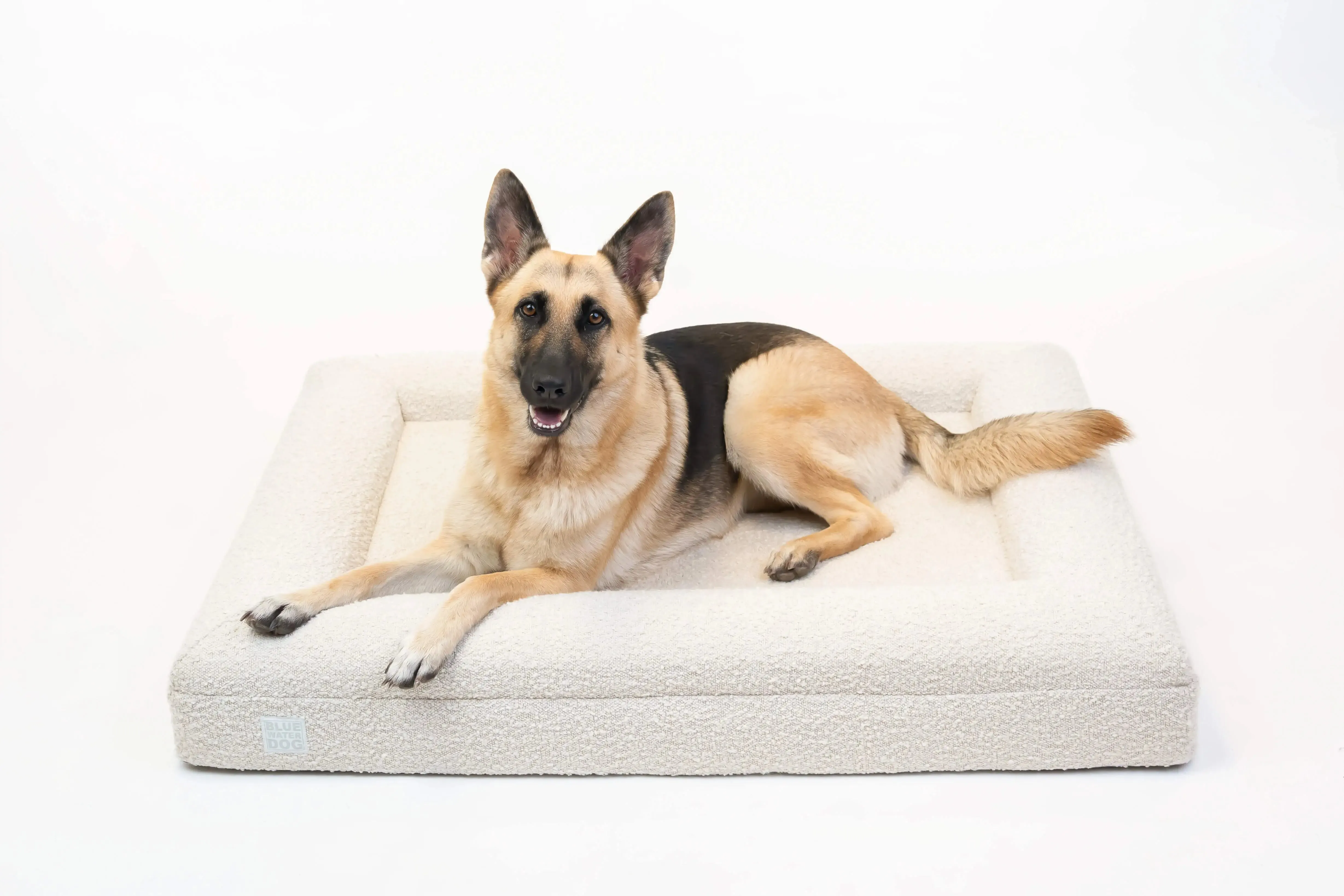Large Luxury Bouclé Orthopedic Bluewater Dog Bed (Cloud)