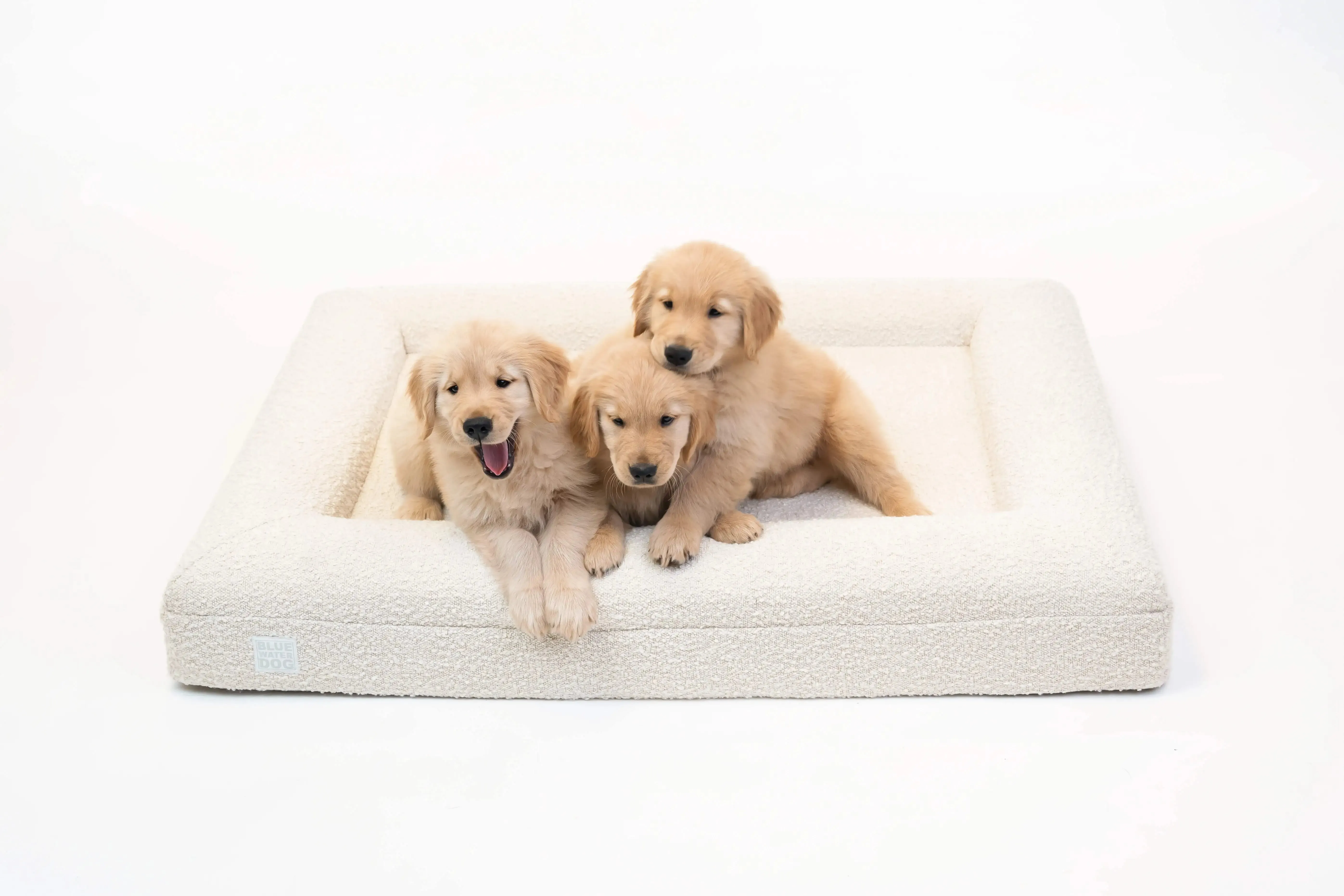 Large Luxury Bouclé Orthopedic Bluewater Dog Bed (Cloud)