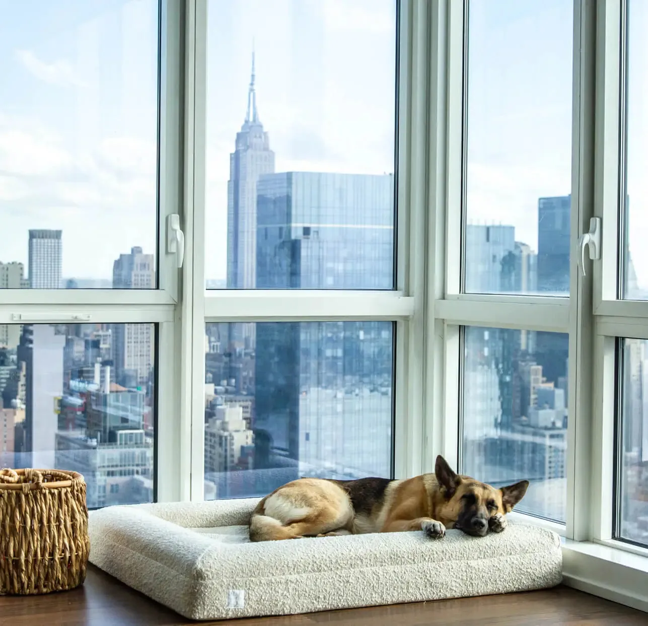 Large Luxury Bouclé Orthopedic Bluewater Dog Bed (Cloud)