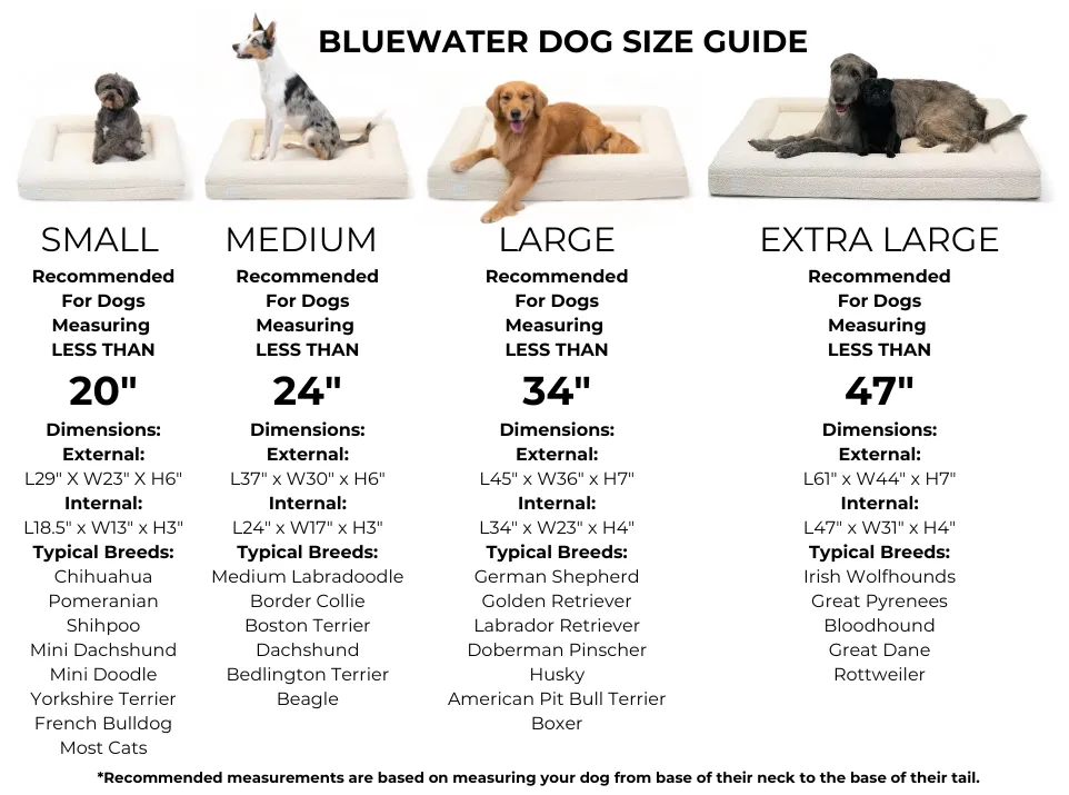 Large Luxury Bouclé Orthopedic Bluewater Dog Bed (Cloud)