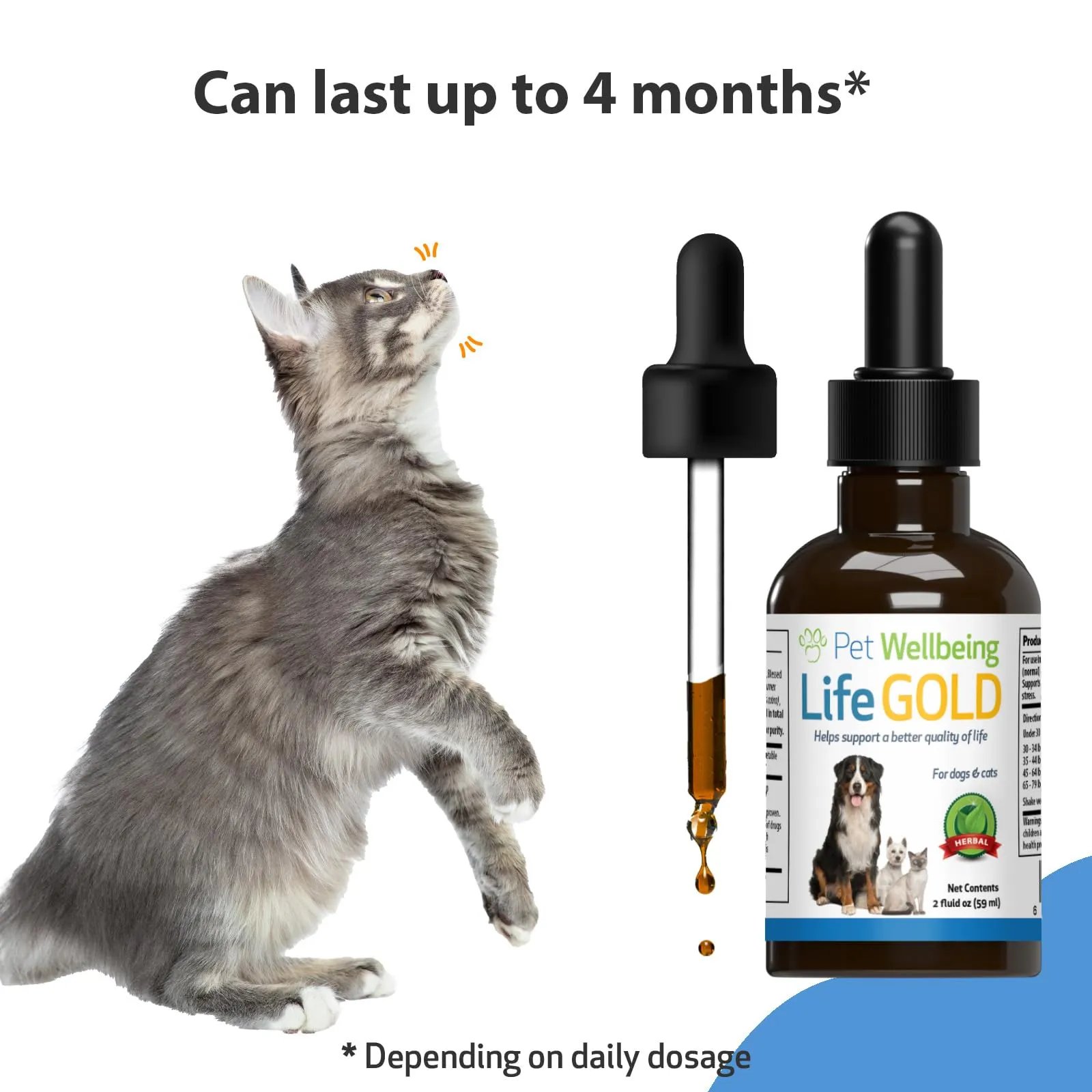 Life Gold - Immune, Antioxidant, and Detoxification Support for Cats