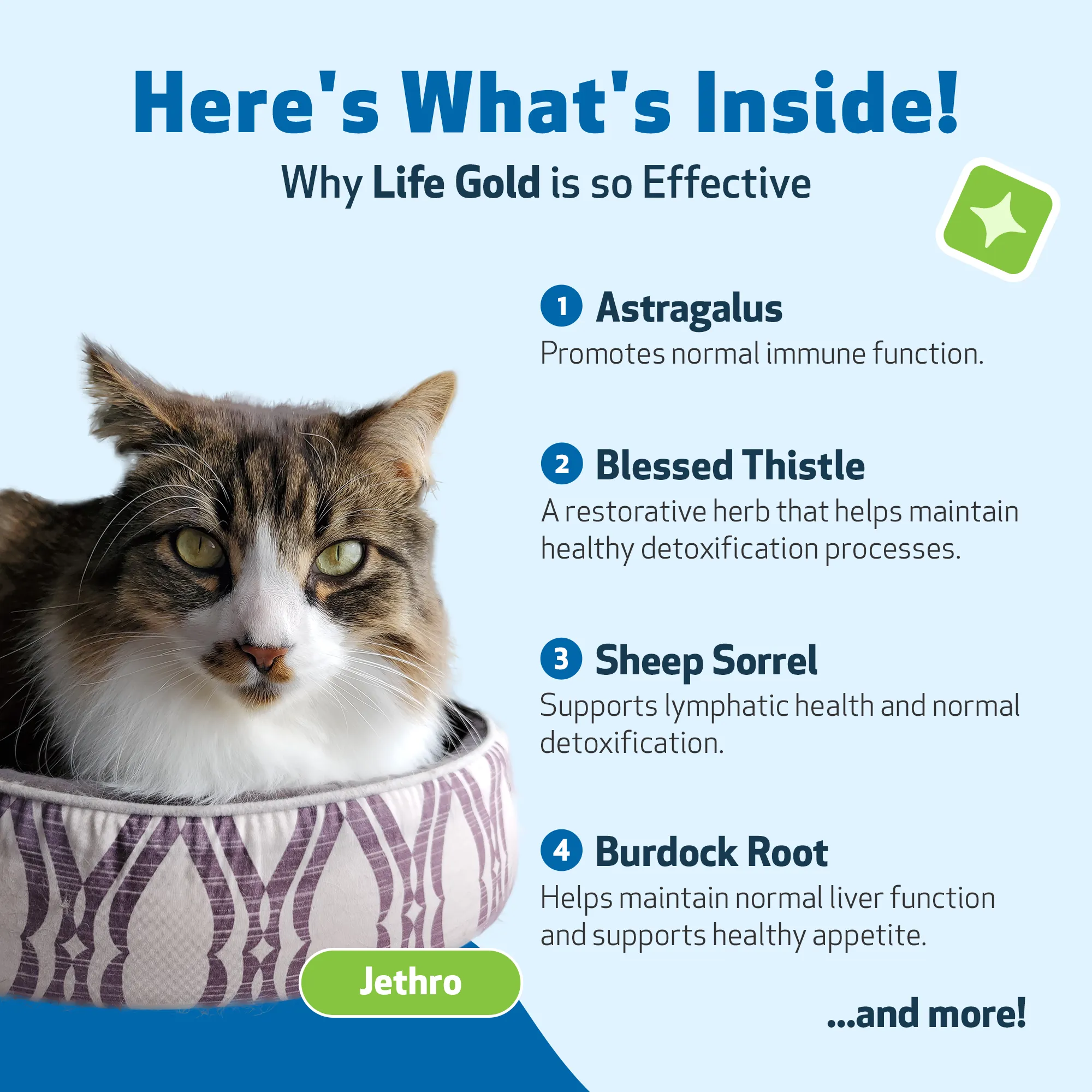 Life Gold - Immune, Antioxidant, and Detoxification Support for Cats