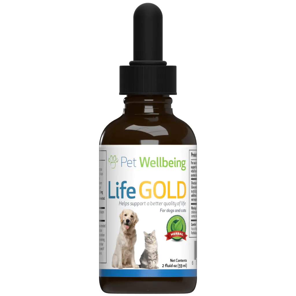 More Mushrooms Kit - Complementary and Alternative Care for Cat Immune and Antioxidant Support