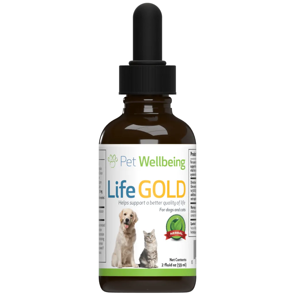 More Mushrooms Kit - Complementary and Alternative Care for Dog Immune and Antioxidant Support
