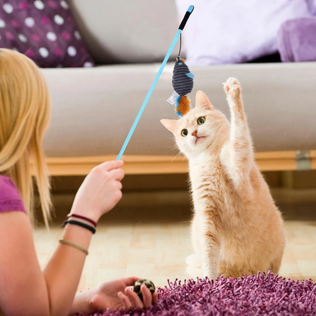 Mouse and Feather Cat Teaser Wand