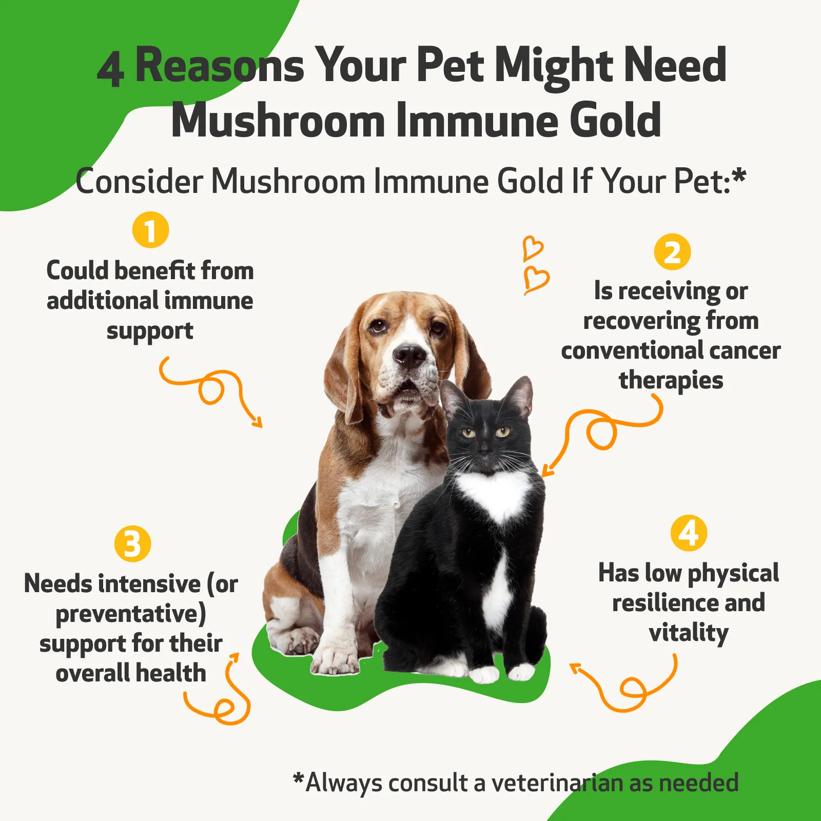 Mushroom Immune Gold - Holistic Immune Support for Dogs
