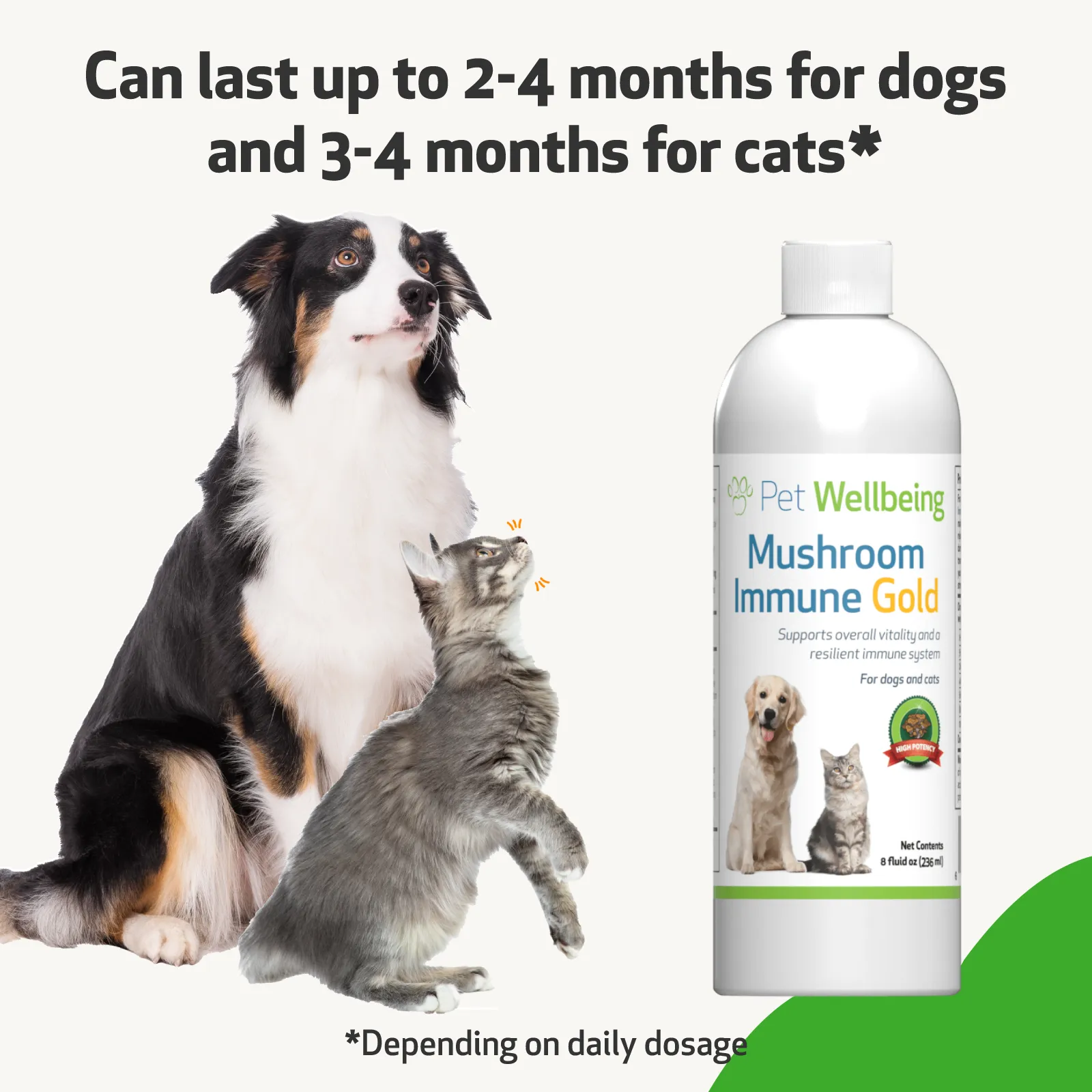 Mushroom Immune Gold - Holistic Immune Support for Dogs