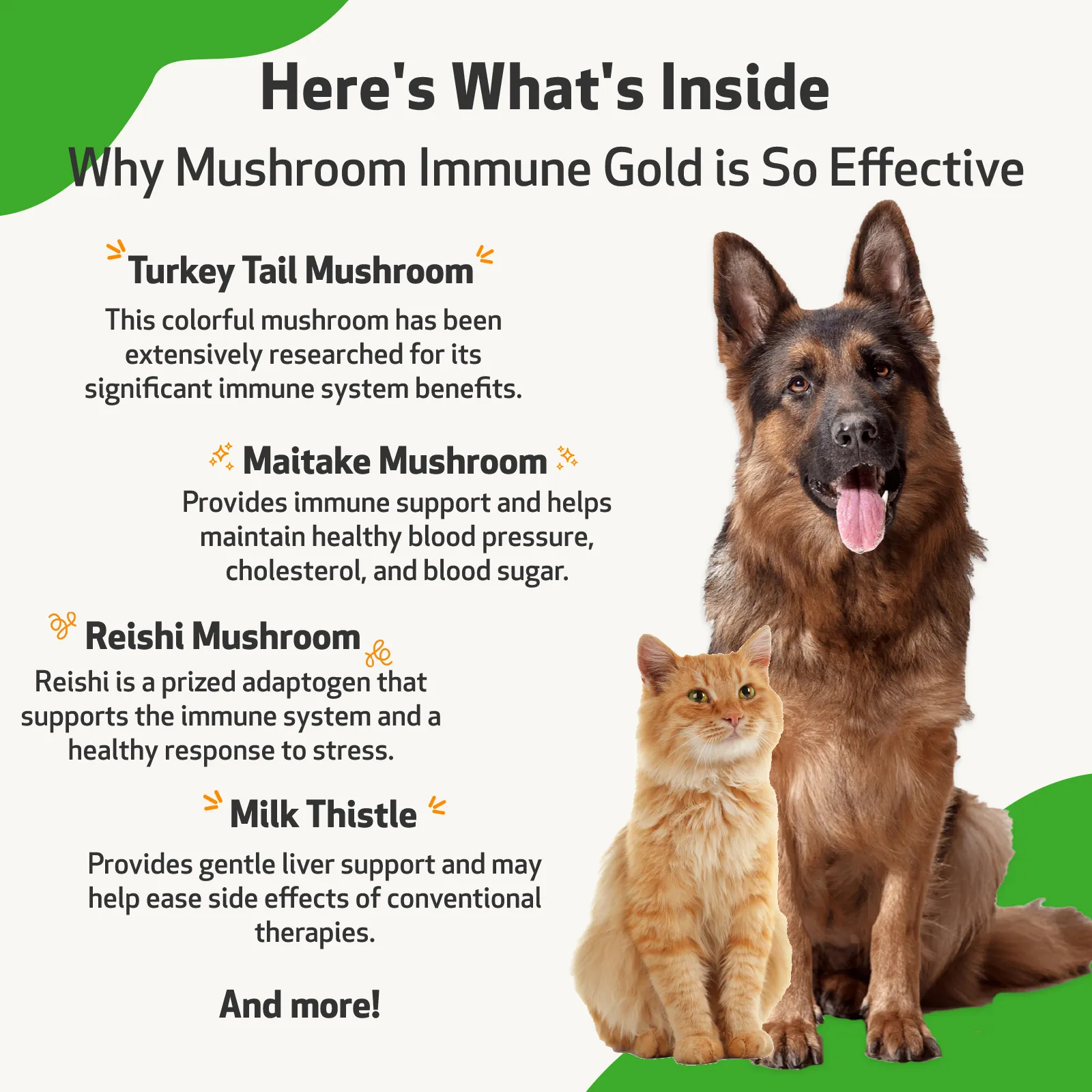 Mushroom Immune Gold - Holistic Immune Support for Dogs