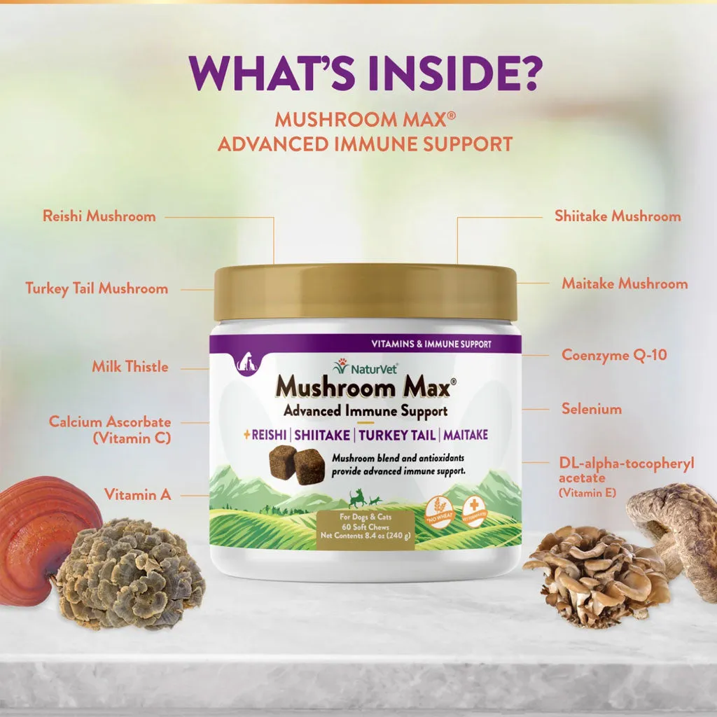 NaturVet Mushroom Max Advanced Immune Support Soft Chews for Dogs & Cats, 60 count