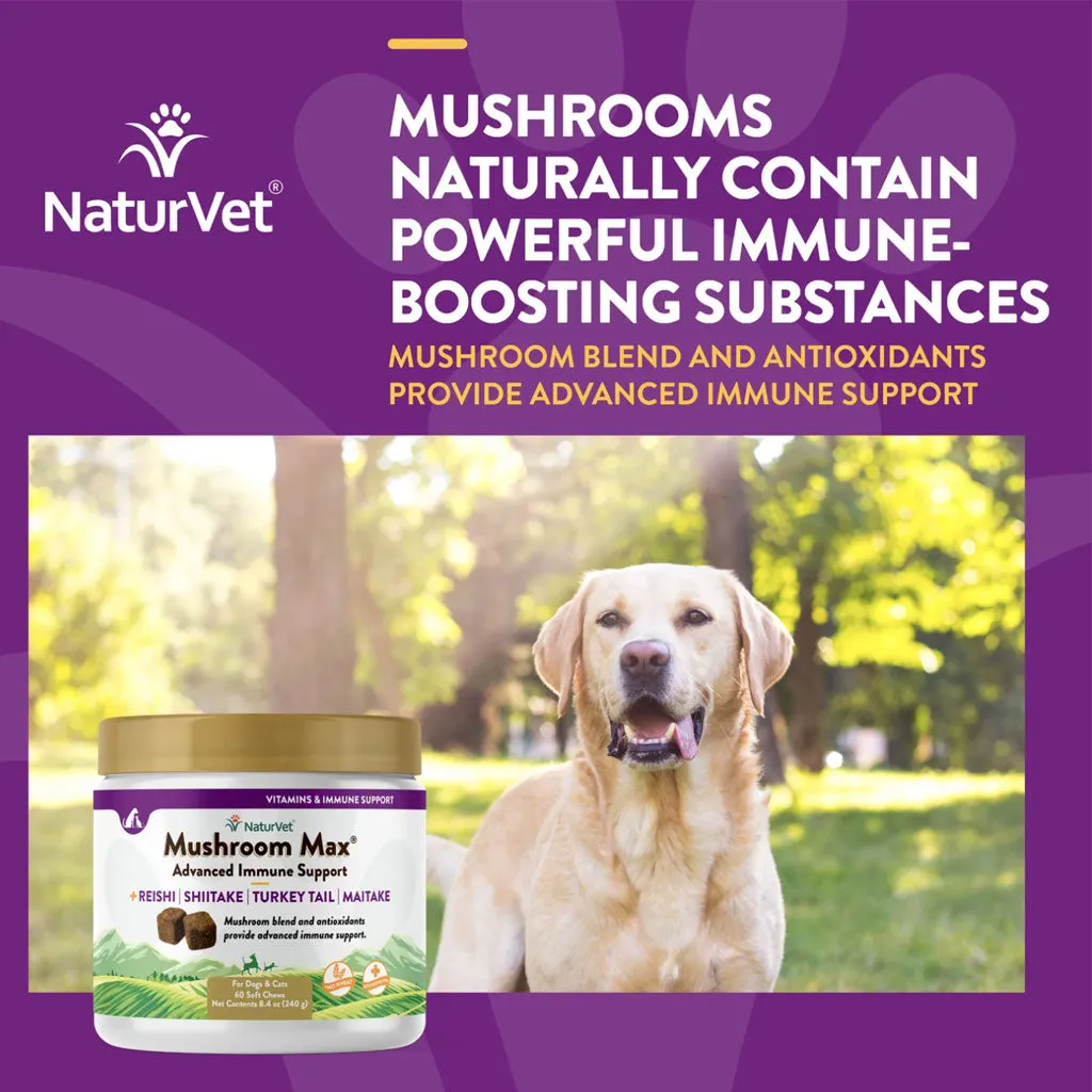 NaturVet Mushroom Max Advanced Immune Support Soft Chews for Dogs & Cats, 60 count