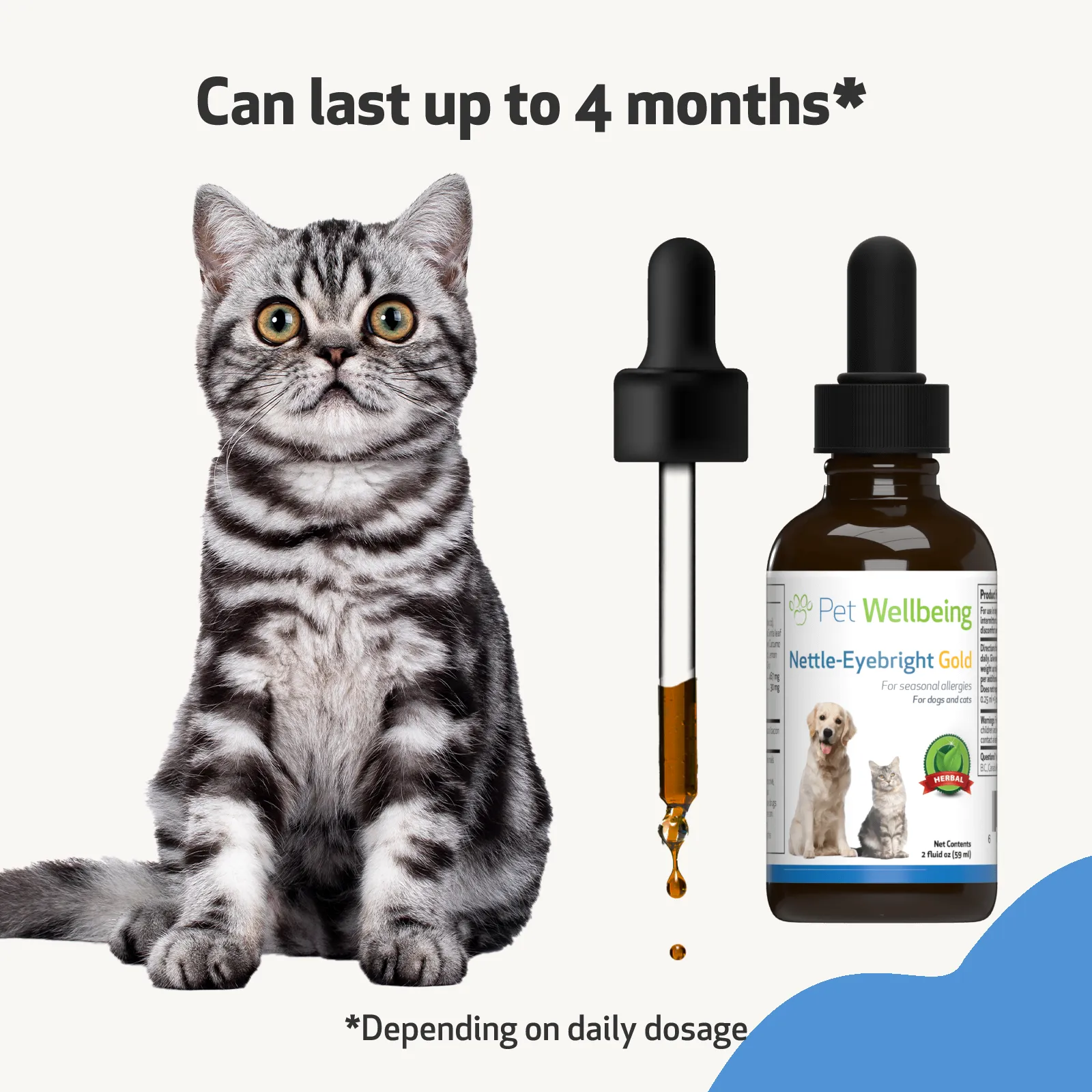 Nettle-Eyebright Gold for Cats with Allergies