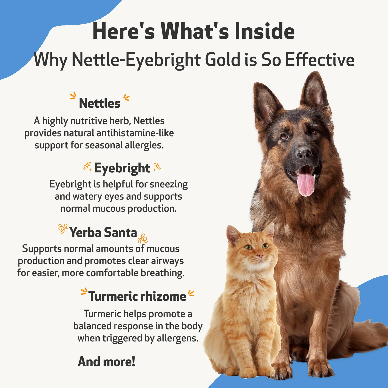 Nettle-Eyebright Gold for Cats with Allergies