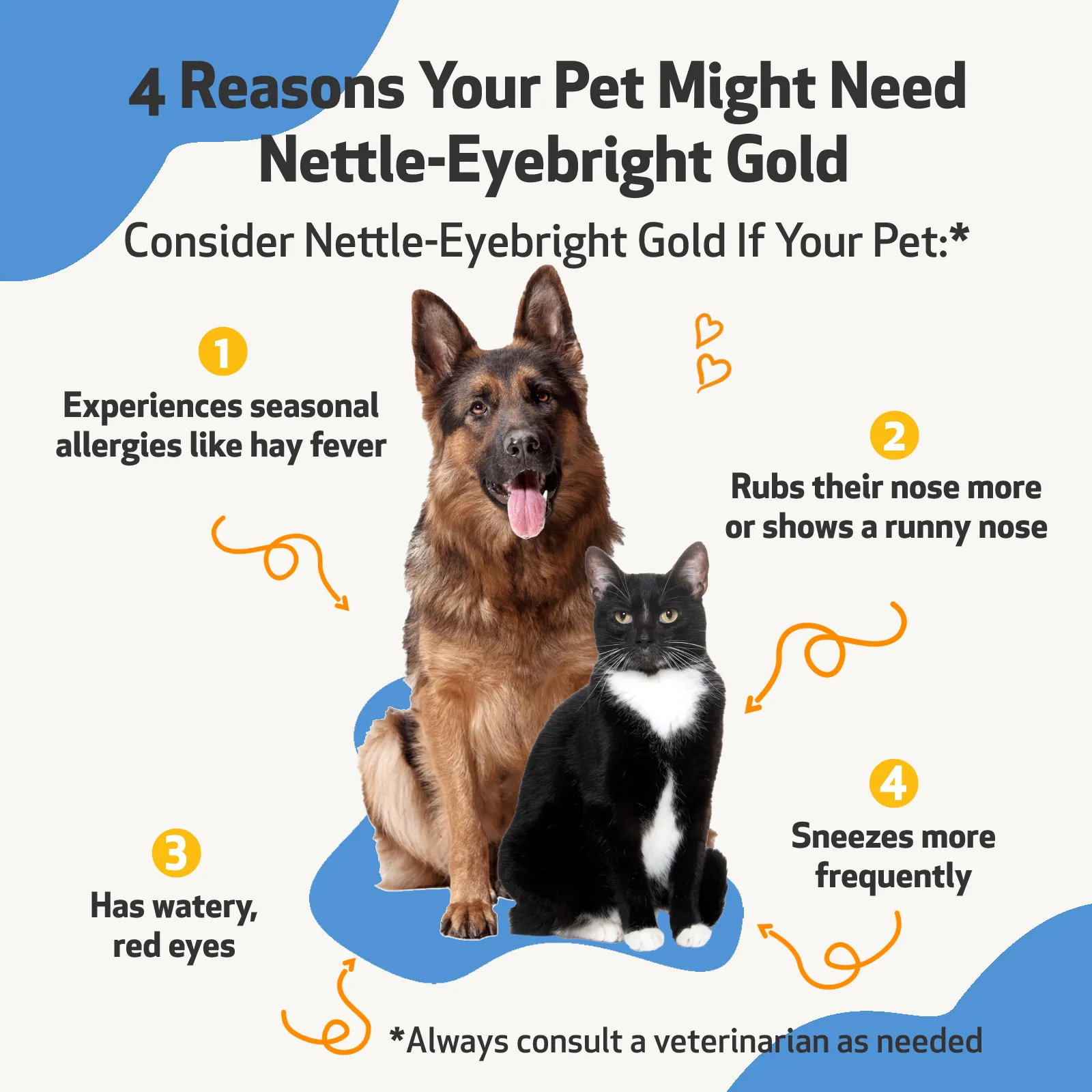 Nettle-Eyebright Gold for Cats with Allergies