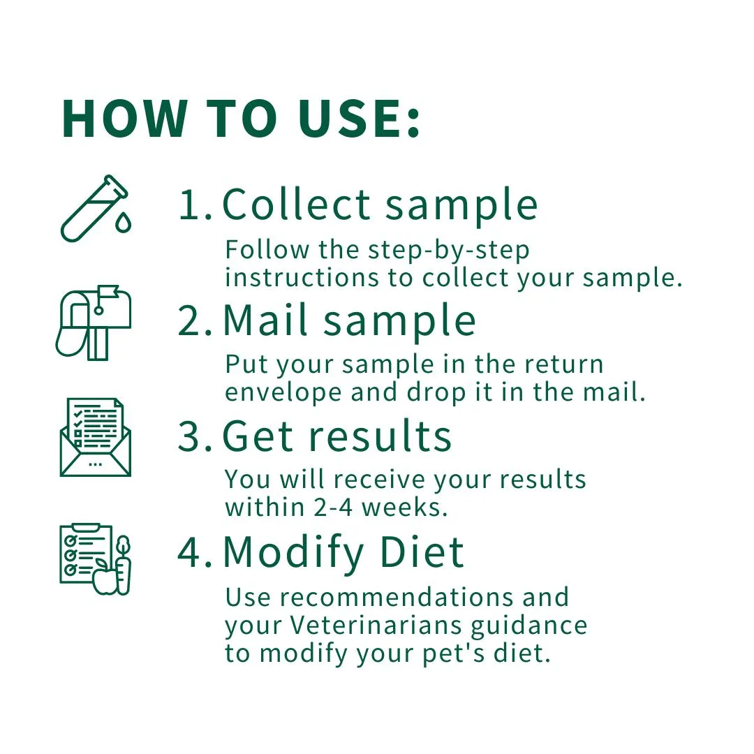 Omega-3 Index - Omega-3 Fatty Acids Test Kit for Dogs