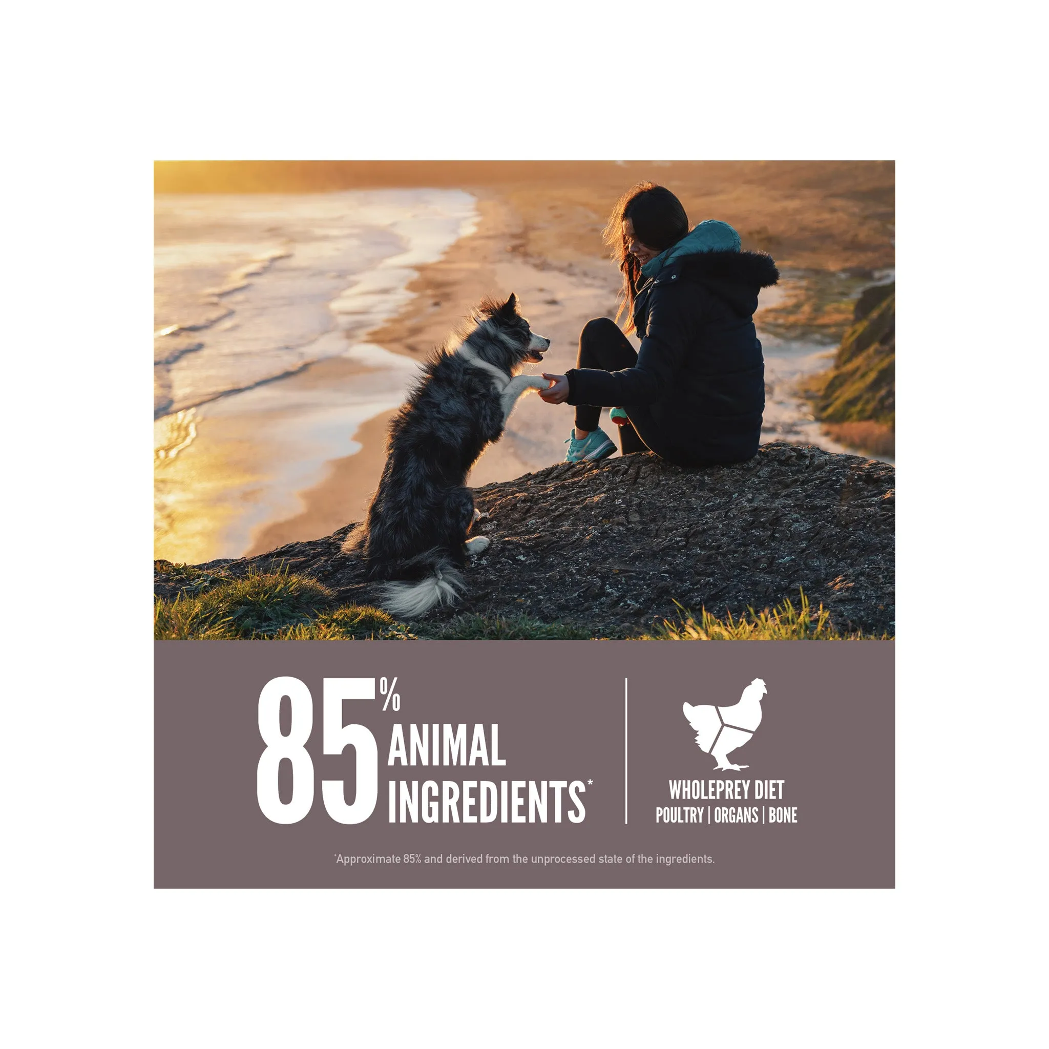Orijen Grain-Free Dry Dog Food