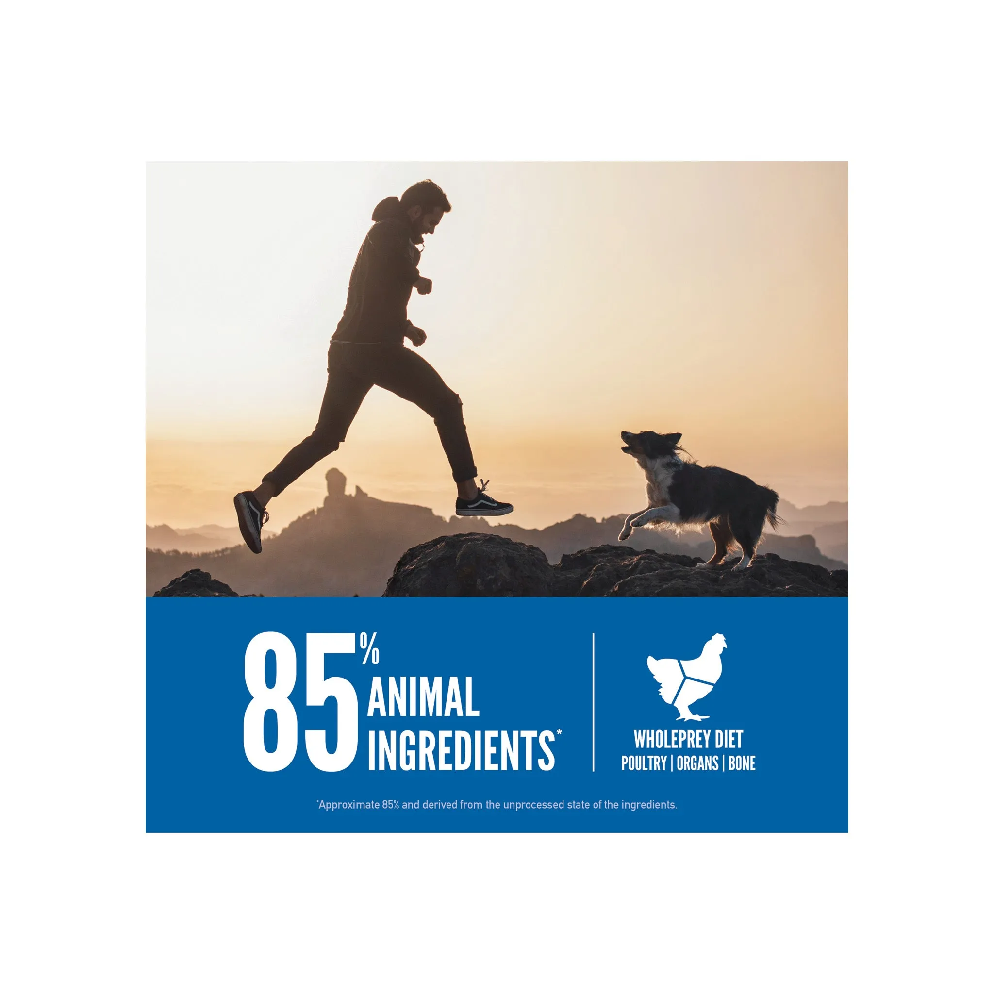 Orijen Grain-Free Dry Dog Food