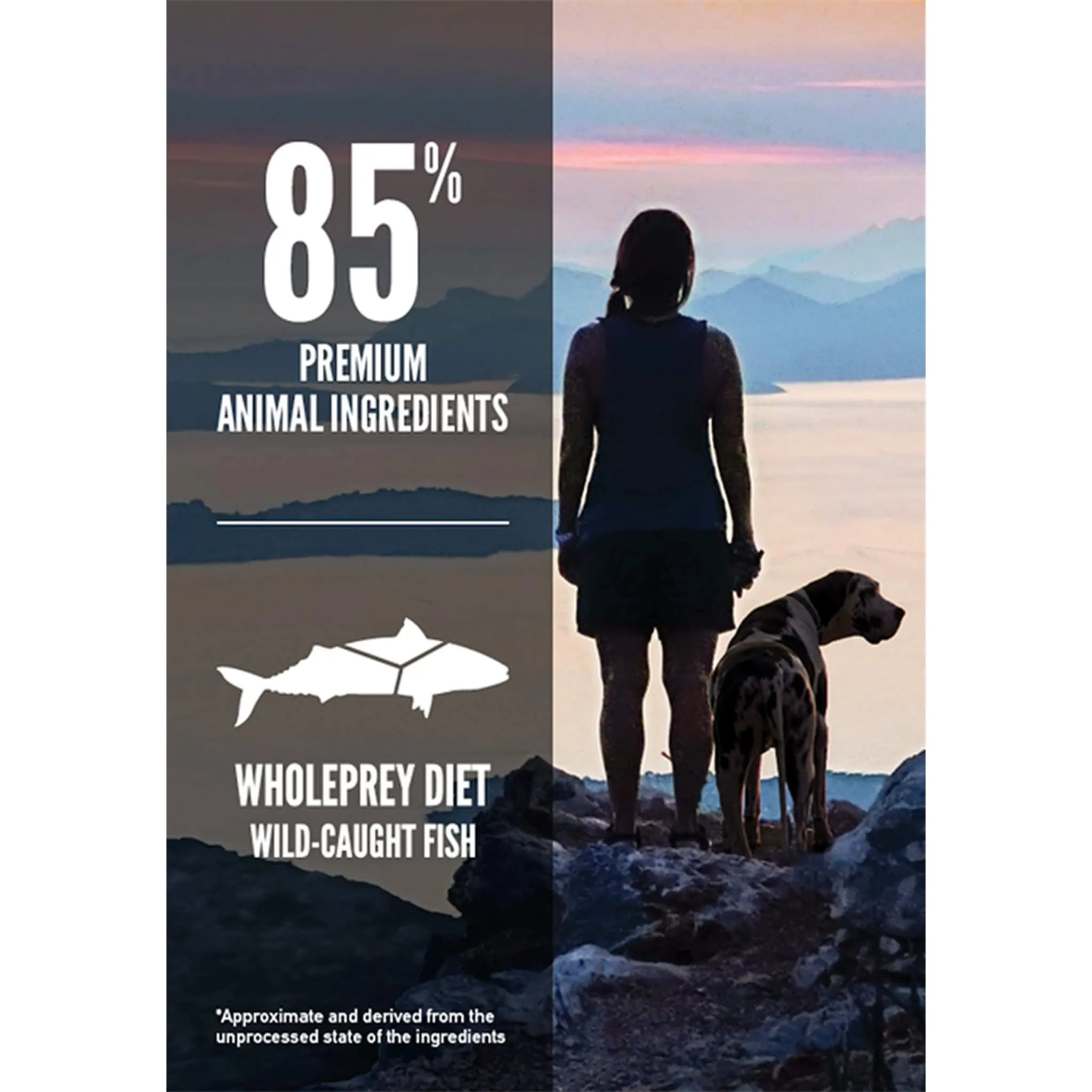 Orijen Grain-Free Dry Dog Food