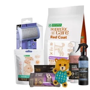 Pet Care Christmas Bundle V