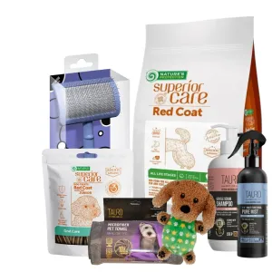 Pet Care Christmas Bundle VII
