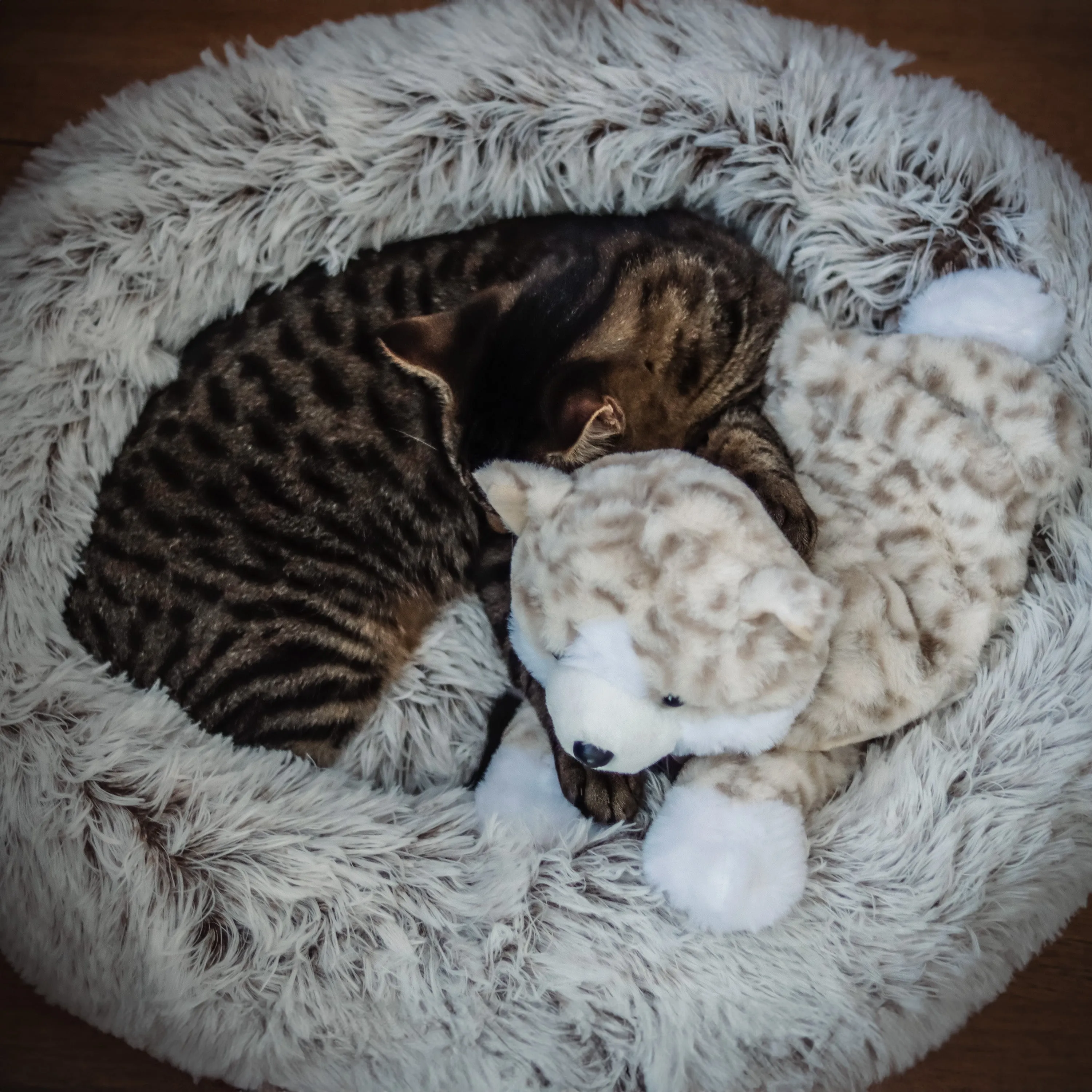 Pet Fit For Life Heartbeat Plush Cat Toy with Heat for Calming Anxiety