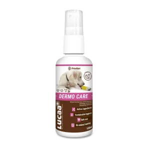 Probiotic Dermo Care Spray for Pets | Provilan Lucaa 