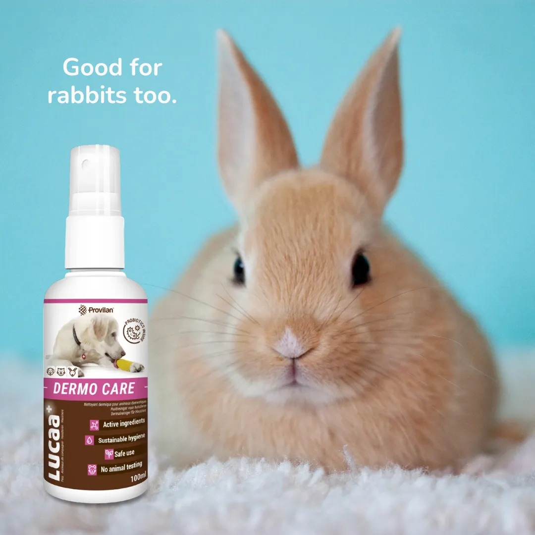 Probiotic Dermo Care Spray for Pets | Provilan Lucaa 
