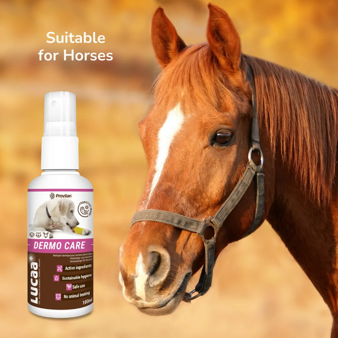 Probiotic Dermo Care Spray for Pets | Provilan Lucaa 