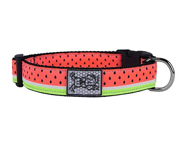 RC Pet Dog Collar
