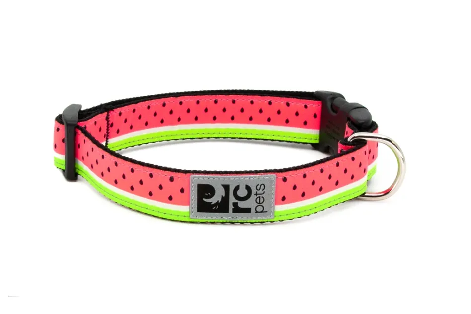 RC Pet Dog Collar