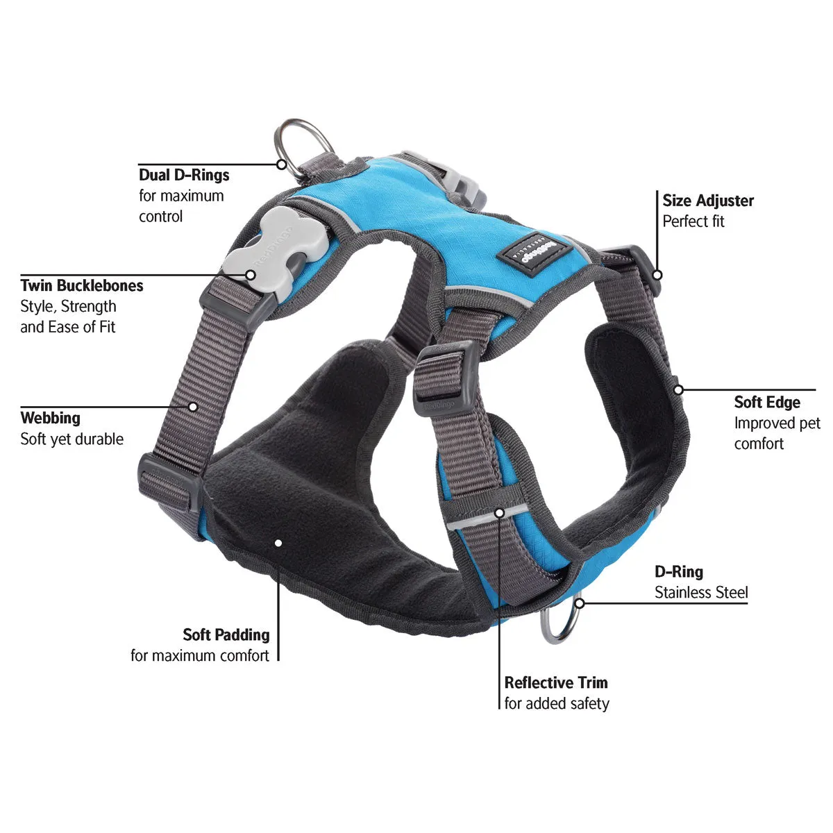 Red Dingo Padded Harness - Turquoise