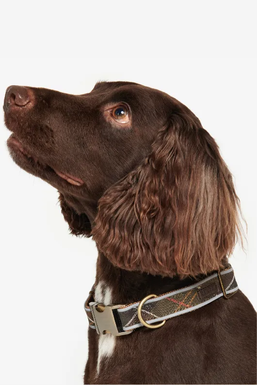 Reflective Tartan Dog Collar