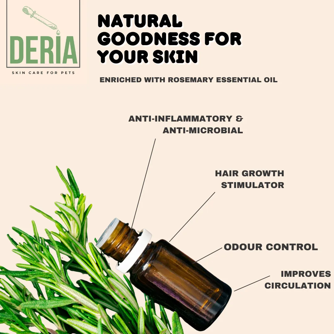 Rosemary Castille Shampoo (fortified with avocado oil)