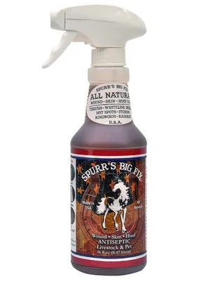 Spurr&apos;s Big Fix