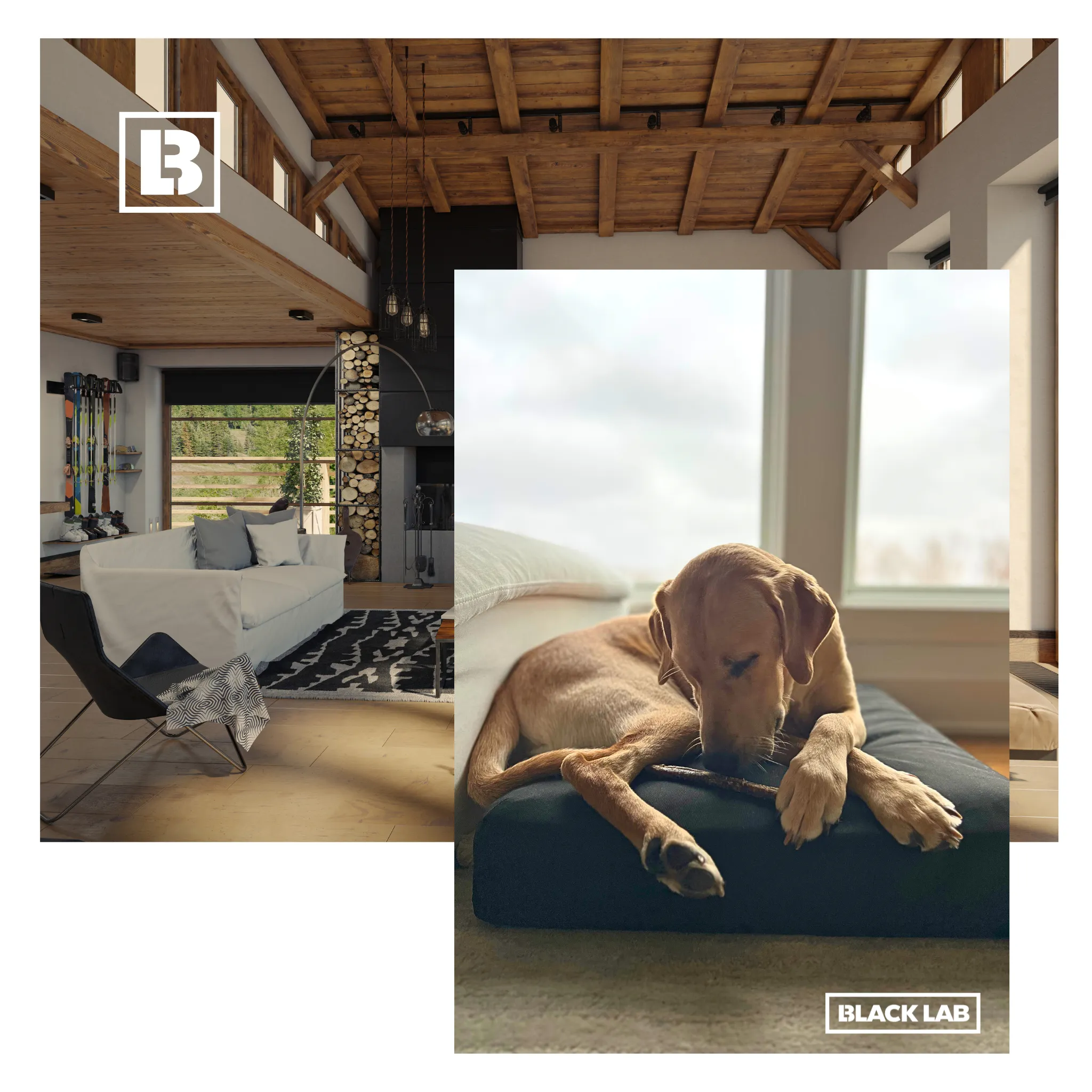 The Beast - UltraTough Orthopedic Dog Bed