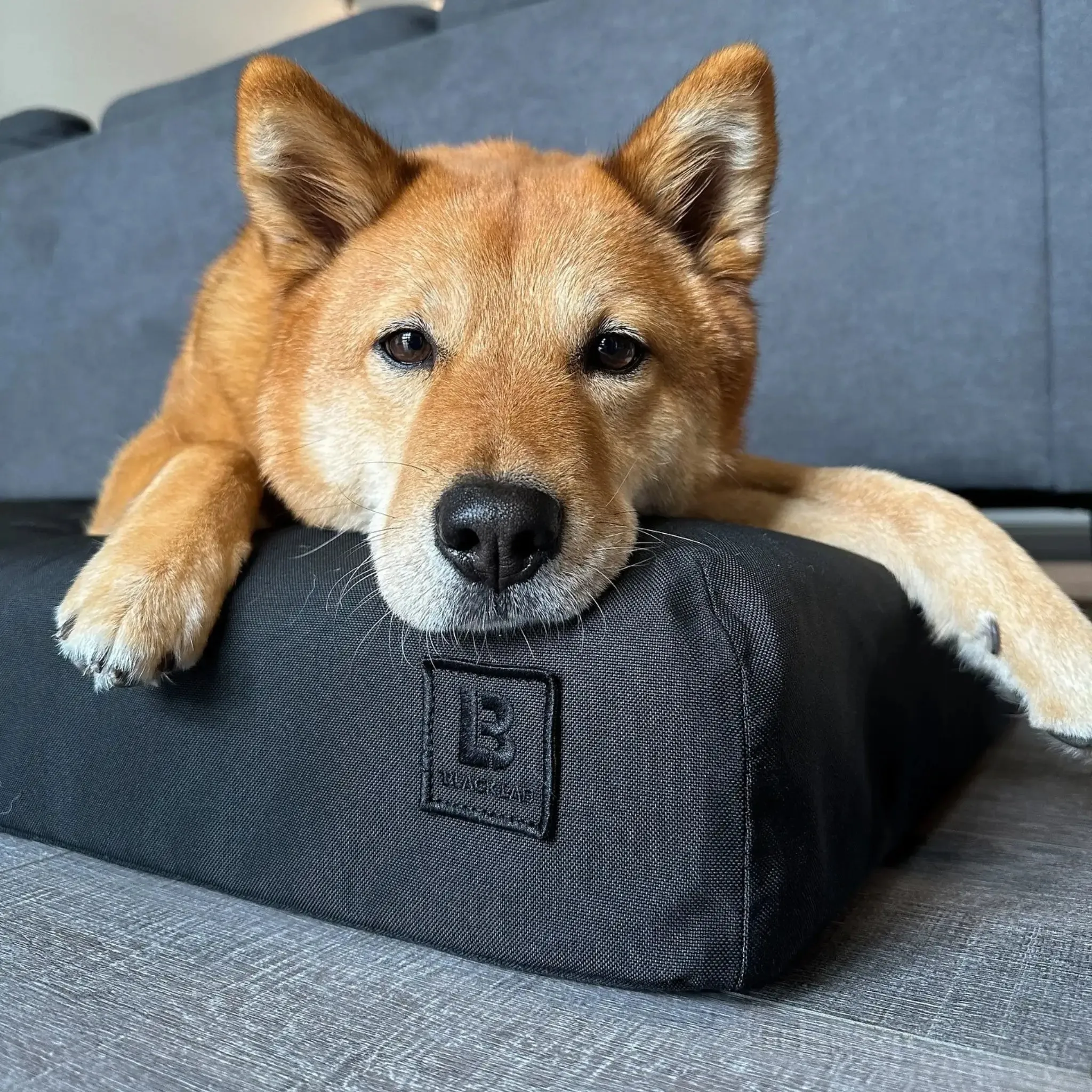 The Beast - UltraTough Orthopedic Dog Bed
